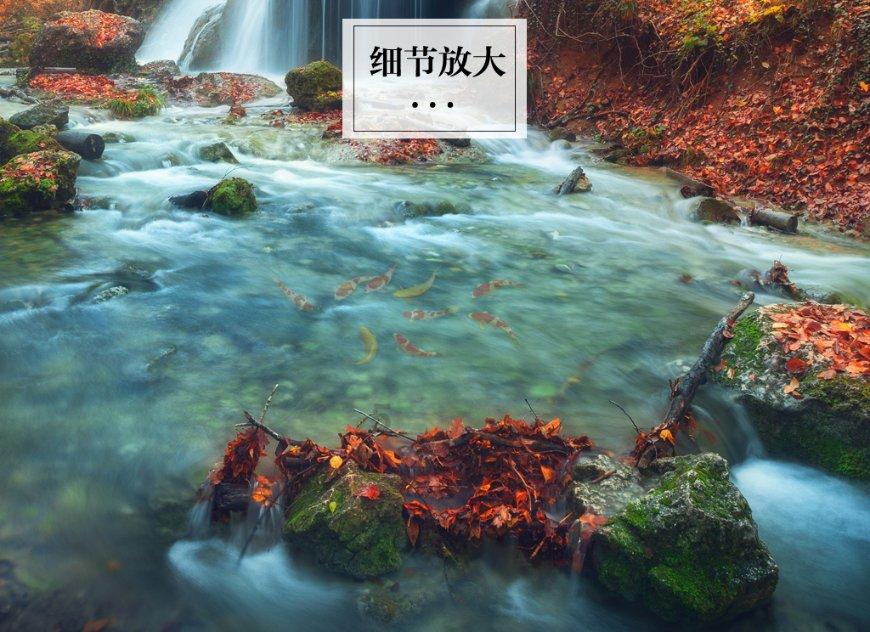 hahabet官网官方入口